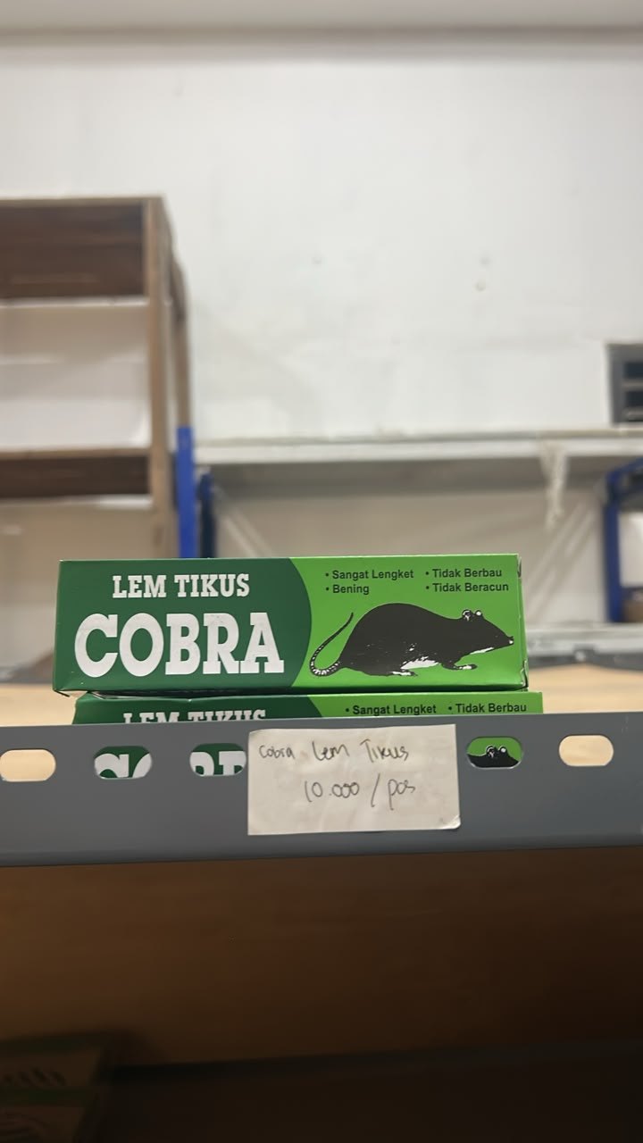 Lem tikus foto 1